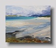 Seilbost Beach Study